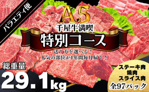 yRVszyցz牮iyʃR[XEoGeBցz lC̕ʂ1NԖ͂I  q꒼ A5N