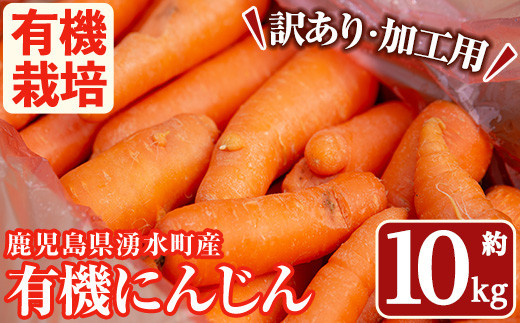 にんじん。さまおまとめ 2点 ニセコ真狩産にんじん (2kg) | Niseko Farm Box