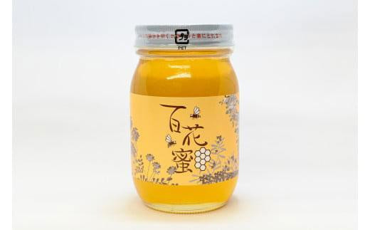 はちみつ 井之上養蜂場 百花蜜 三朝町産 600g × 1本｜鳥取 はちみつ