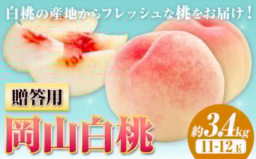 成瀬愛理　遮光パーカー　忍　白　新品未使用♡ 成瀬愛理 遮光パーカー 忍 白 新品未使用♡ 2025年最新】成瀬