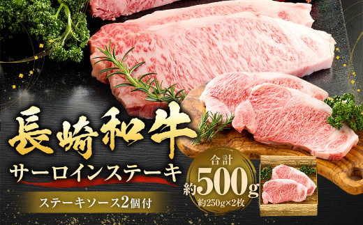 y茧szaT[CXe[L2Zbg v500g i250g×2j ^ Y \[Xt Xe[L   a