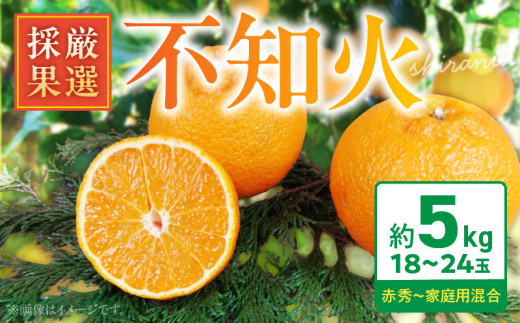 ya̎R󒬁zBK6013__̕smΖ5kg(18`24ʁEỈ)