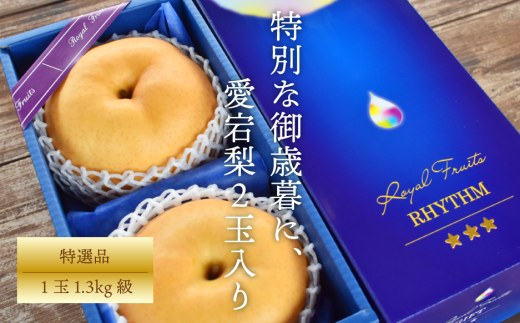 yR^szyƂt@[zI Qʓ(1.3kg/) (RY)yKF-C010-01z