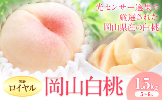 桃 もも【2026年先行予約】岡山の白桃 等級 ロイヤル 約1.5kg(5～6玉