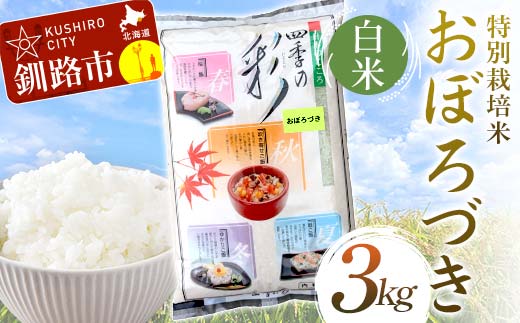 ykCHszyʏ픭zʍ͔|ĂڂÂ 3kg  kCY  R     ς7O F4F-9844