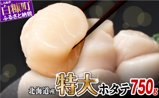 オホーツク産お刺身用ホタテ特大サイズ 750g (250g×3) ホタテ ほたて