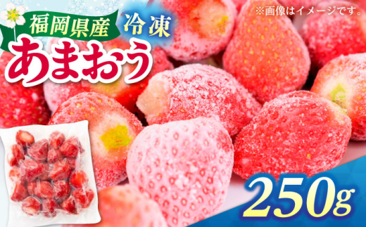 yz㒬zY Ⓚ܂ 250gi250g×1jz㒬yЖؑHiz[ABEB024]  C`S  ʕ t[c [ABEB024] 5000~