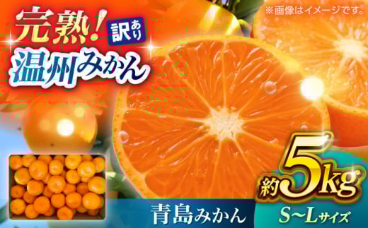 yF{Rszy󂠂z B݂ wx 5kg S?LTCY yʎz [ZFK001]