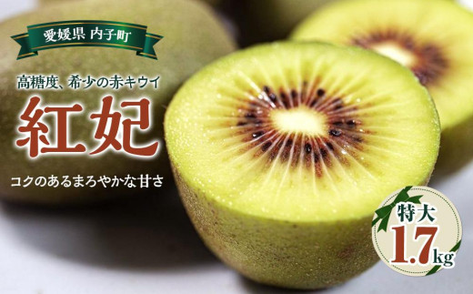 yQqzԃLECug܁vTCY1.7L