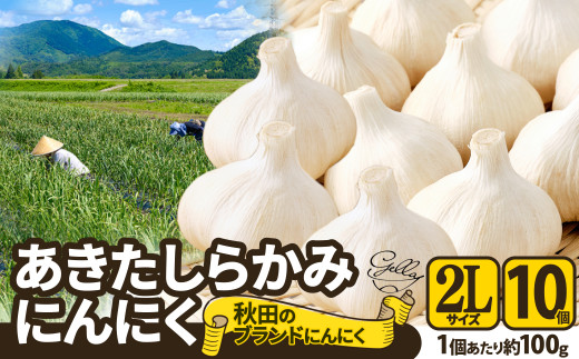 数量限定】あきたしらかみにんにく(2Lサイズ×10個) 50P3255 - 秋田県