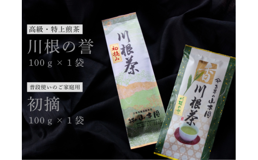 6-7 厳選川根茶 2種おすすめセット - 静岡県川根本町｜ふるさと