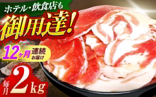 y茧Izy12ցzWrG VRCmVV ؂藎Ƃ2kgiڂEύEuߗpjyƖ{HHz[OAJ024] /   ̂ CmVV CmVV WrG 