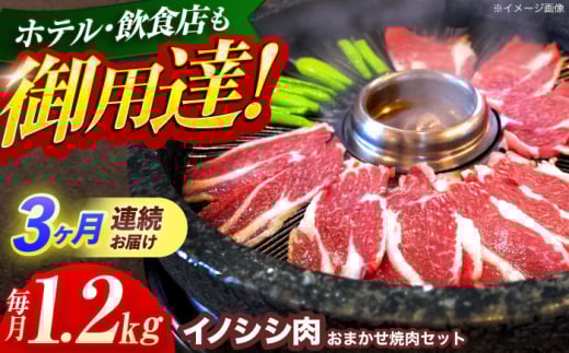 y茧Izy3ցzWrG VRCmVV ܂ēZbg 1.2kg i[XEEojyƖ{HHz[OAJ034] /   ̂ CmVV CmVV WrG ̂