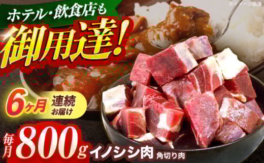 y茧Izy6ցzWrG VRCmVV p؂ 800giJ[EV`[jyƖ{HHz[OAJ062] /   ̂ CmVV CmVV WrG ̂ 茧 