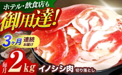 y茧Izy3ցzWrG VRCmVV ؂藎Ƃ2kgiڂEύEuߗpjyƖ{HHz[OAJ022] /   ̂ CmVV CmVV WrG 
