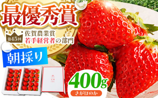 いちご一会様　オーダーソーイングボックス完成品 1～2月発送】王様のいちご さがほのか 400g 1箱 【農薬0への挑戦