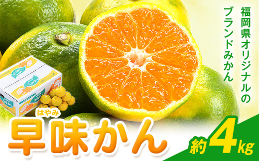 y|z݂  4kg 썑t[cЁy26Nxoׁzs9{-9{oׁt | Y ݂  t[c ʕ