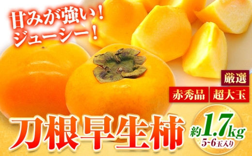 ya̎R쒬z` ԏGi  `  1.7kg 6 I_lЁs2026N9{-10oׁt a̎R 쒬 ʕ t[c `  ` {