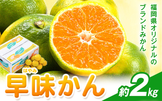 y|z݂  2kg 썑t[cЁy26Nxoׁzs9{-9{oׁt | Y ݂  t[c ʕ