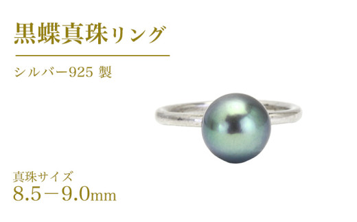 y錧sz^ 8.5-9.0mm Vo[ 925 O ( _Ch  ) tH[}  ^ y_g lbNX WG[ Mtg LO 蕨  v[g [AH140sa]