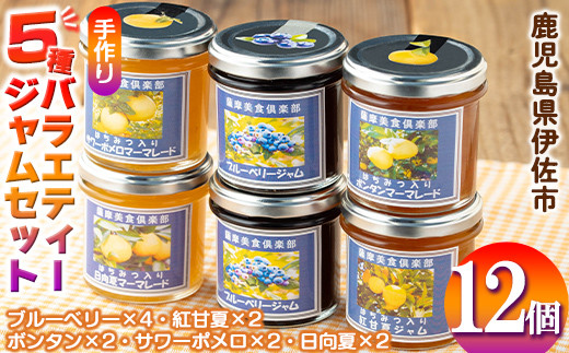 ふるさと納税 isa553 《数量限定》5種のバラエティージャム食べ比べセット(計12個・ブルーベリー×4、トマト×2、ボンタ.. 鹿児島県伊佐市 isa553 《数量限定》5種のバラエティージャム食べ比べセット(計12個