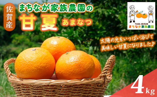まちなが家族農園の甘夏 4kg 【2026年4月下旬～5月下旬まで順次発送