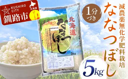 ykCHszyIׂ锭z _9Ew엿sgpȂȂڂ 5kg 1Â kCY  R     F4F-9571var