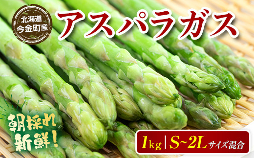 新鮮アスパラ　アスパラガス　訳あり 北海道産 訳あり規格外 M～2Lサイズ アスパラ！1 kg：北海道産の