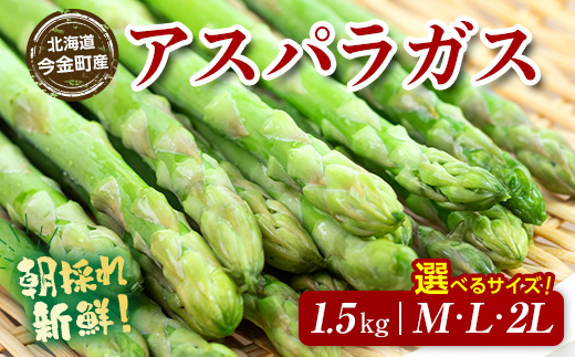ykCzys\zTCYIׂ遄̂VNAXp 1.5kg MELEQLTCY  (2026N3{~6{܂2026N7{~9{)   Gi kCY o[xL[ BBQ