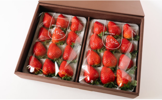 ふるさと納税】060-3000 【 定期便 12回 】 フルーツ 定期便 いちご