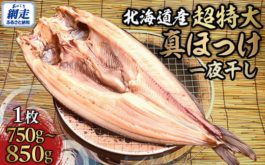 超特大真ほっけ一夜干し 【 ふるさと納税 人気 おすすめ ランキング