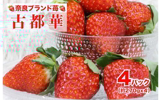 yޗǌ͍zy2026Ns\z Ós Ƃ Ós 270gx4pbN v1080g  Zbg ] t[c ʕ { Yn _ƒ n {̃t[c {̉ʕ   f