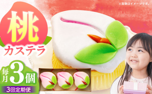 y茧|szy3ցzy艏NَqzJXe3 / JXe JXe Ă ̐ߋ ЂȍՂ / |s / ~ [AHBN016]