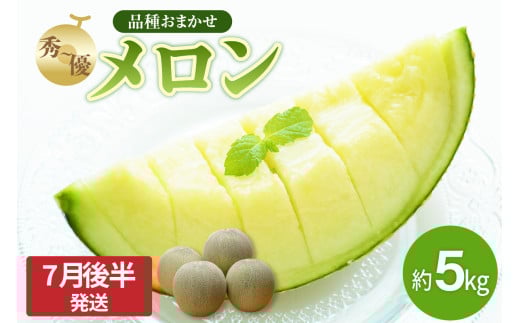 yX܏쌴szy2026Ns\z  5kg G`D 7 8 (  3`6 jy2026N7㔼zy ÌyY X Γ  z