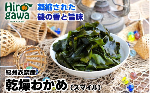 ya̎RL쒬zIBߓގY 킩 150g×3pbN(2026NY) /킩 C a̎R Y X`  ysml213-wak-3Az