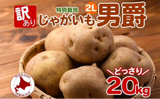 ykCyz[5795-0381]2025NHȍ~oׁkC 󂠂 ʍ͔| Ⴊ j 2L 20kg WKC n鏒    { ~ kCY Y  |eg Â zNzN _