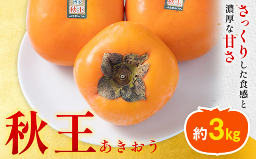 yƎ蒬z` H 3kgi8-12ʁj 썑t[cЁs10{-11oׁt Ǝ蒬 Y ` t[c ʕ