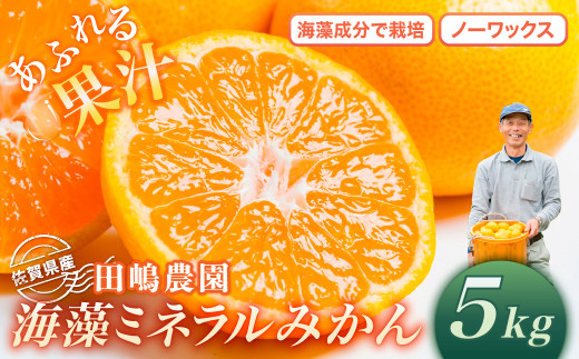 L-22 海藻ミネラルみかん 5kg みかん ミカン 蜜柑 たらみかん 太良