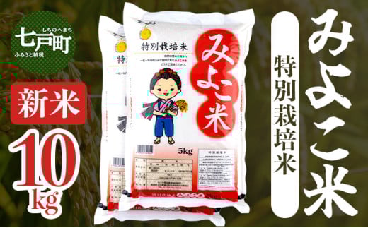 yX˒zyߘa7NYz݂悱āi܂j10kgi5kg×2܁jyʍ͔|  ͂ V    ٓ   Y  Y uh ɂ Y X 