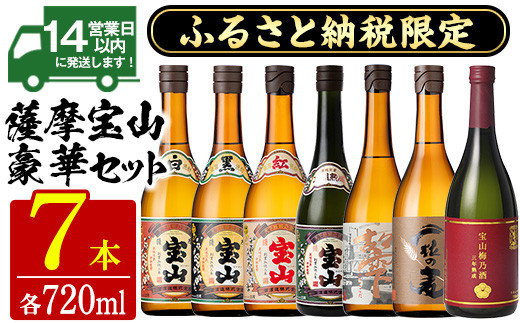 No.489 ふるさと納税限定！人気の焼酎！薩摩宝山豪華セット(7