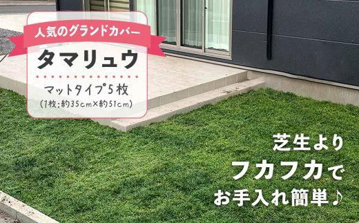 庭屋様タマリュウマット71枚 タマリュウ 玉竜 マットタイプ 60cm×30cm 15枚 産地直送