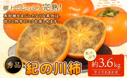 先行予約】紀の川柿たっぷり 約3.6kg 秀品 紀の川市厳選館 《2026年10