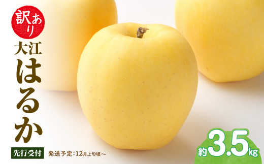 先行受付》訳あり 大江はるか約3.5kg【2026年12月上旬～発送予定