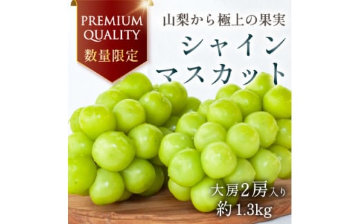 yRRsz2026Nstʌ I v~AVC}XJbg [2[ RYny1591108z