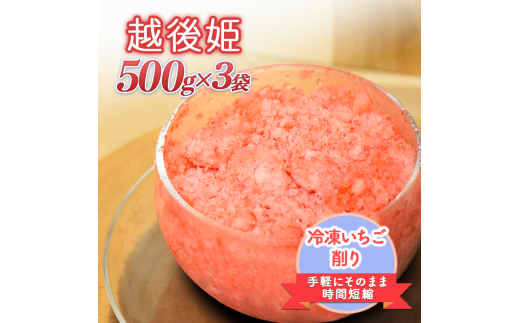 削りいちこ゛越後姫500g×3袋 冷凍 イチゴ 苺 果物 フルーツ 新潟