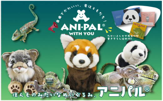 大阪・関西万博2025出展／ともだちになれるぬいぐるみ！【ANI-PAL アニ