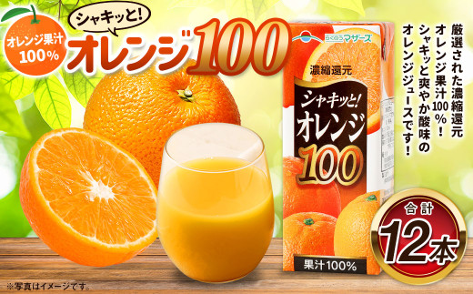 オレンジ100 200ml×12本 合計2400ml 厳選 みかん 果汁 100% 濃縮還元