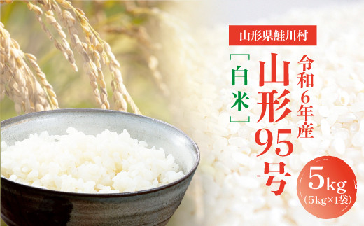 ふるさと納税 鮭川村 ＜令和7年1月上旬配送開始＞　令和6年産 はえぬき30kg定期便 (10kg×3回) ふるさと納税 鮭川村 ＜令和7年1月上旬配送開始＞令和6