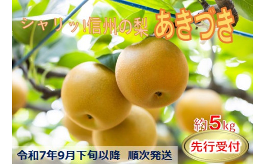 チョコ様豊水あきづき5キロ×2