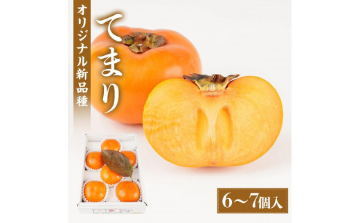 ya̎R쒬zIBĂ܂ia̎Ruh`j6`7 _ƌI s\ m2026N910nmKG27n